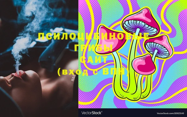 ПСИЛОЦИБИНОВЫЕ ГРИБЫ Покачи