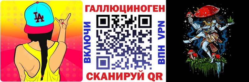 Псилоцибиновые грибы Psilocybe  Купить где  Биробиджан 
