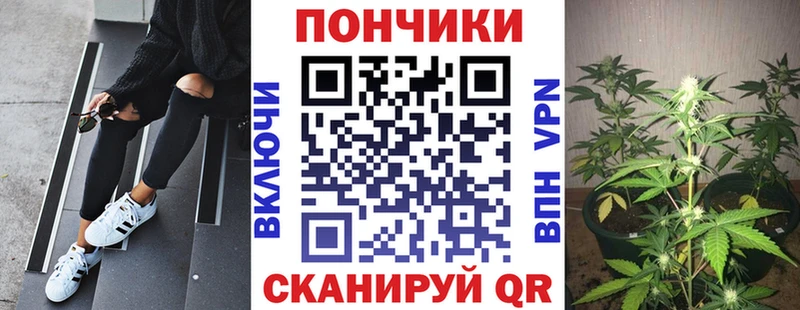 Каннабис SATIVA & INDICA  Купить где  Биробиджан 